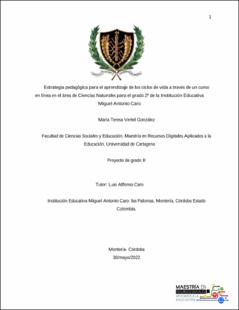 Miniatura