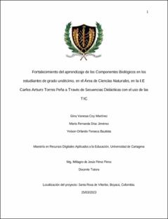 Miniatura
