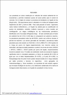 Miniatura