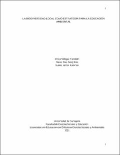 Miniatura