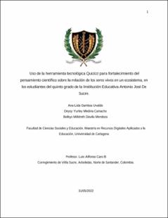 Miniatura