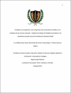 Miniatura