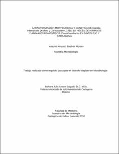 Miniatura